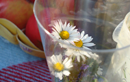 Gänseblümchen im Glas
