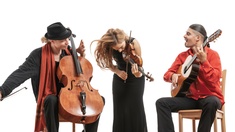 WILD STRINGS TRIO (C) TADEJ CAUSEVIC Wild Strings Trio