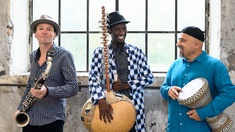 Jan Galega Brönnimann, Moussa Cissokho und Omri Hason 
